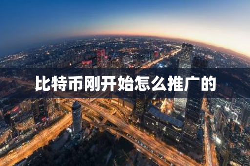 比特币刚开始怎么推广的-第1张图片-智财锋资讯网