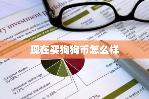 现在买狗狗币怎么样-第1张图片-智财锋资讯网