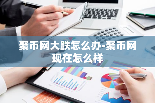聚币网大跌怎么办-聚币网现在怎么样-第1张图片-智财锋资讯网