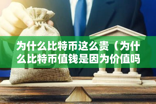 为什么比特币这么贵（为什么比特币值钱是因为价值吗）-第1张图片-智财锋资讯网