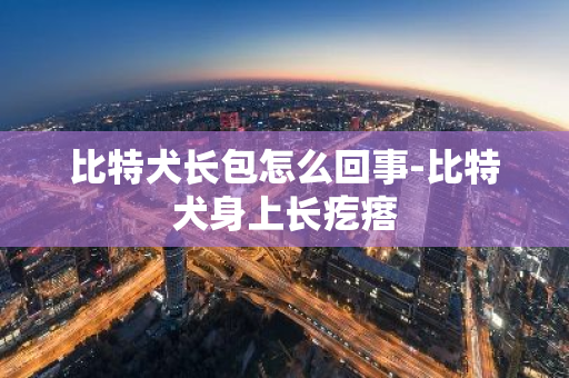 比特犬长包怎么回事-比特犬身上长疙瘩-第1张图片-智财锋资讯网