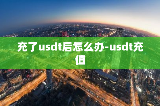 充了usdt后怎么办-usdt充值