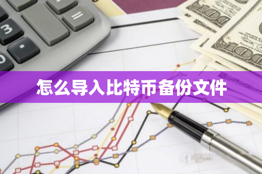 怎么导入比特币备份文件