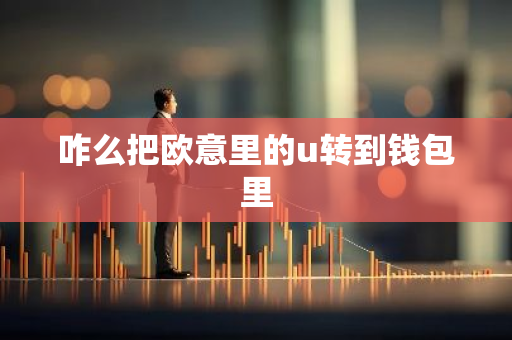 咋么把欧意里的u转到钱包里