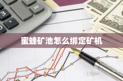 蜜蜂矿池怎么绑定矿机-第1张图片-智财锋资讯网