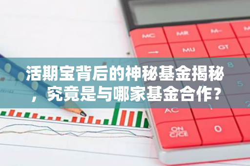 活期宝背后的神秘基金揭秘，究竟是与哪家基金合作？