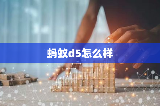 蚂蚁d5怎么样