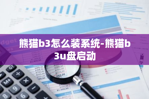 熊猫b3怎么装系统-熊猫b3u盘启动