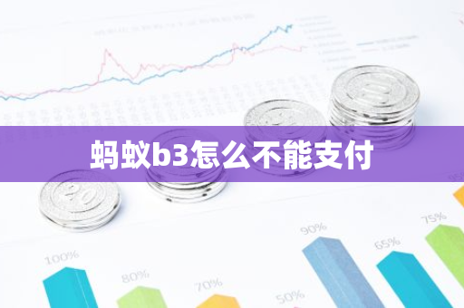 蚂蚁b3怎么不能支付