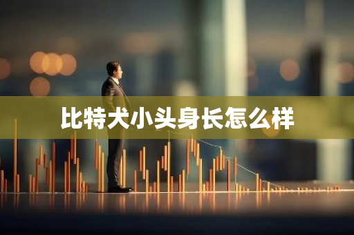 比特犬小头身长怎么样