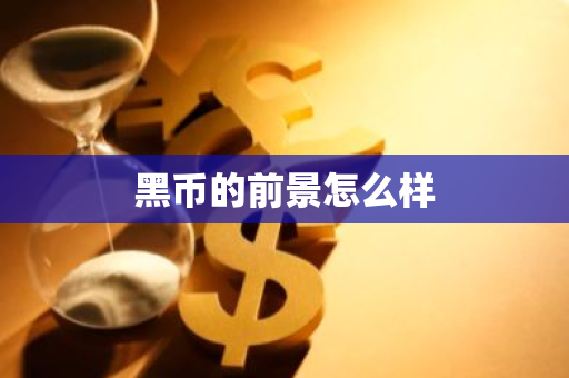 黑币的前景怎么样