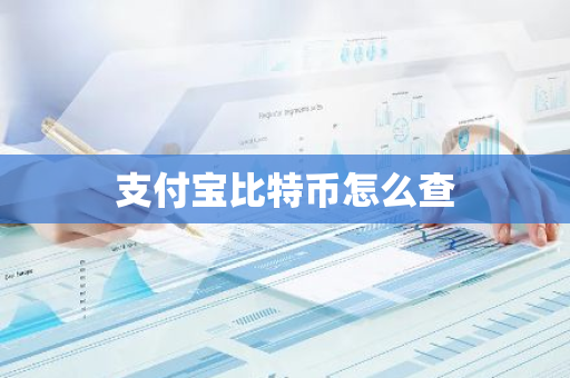 支付宝比特币怎么查