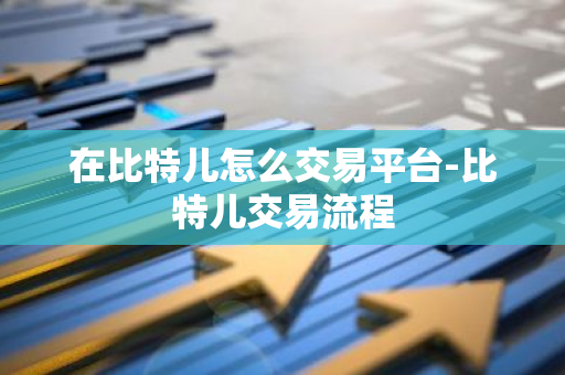 在比特儿怎么交易平台-比特儿交易流程