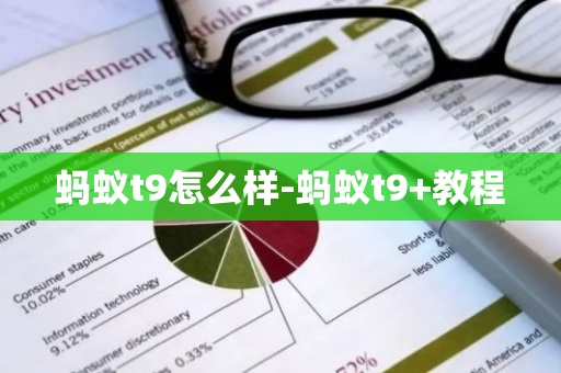 蚂蚁t9怎么样-蚂蚁t9+教程