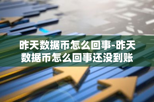 昨天数据币怎么回事-昨天数据币怎么回事还没到账