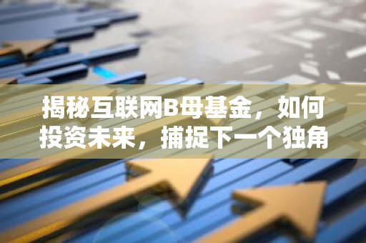揭秘互联网B母基金，如何投资未来，捕捉下一个独角兽？-第1张图片-智财锋资讯网