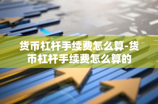 货币杠杆手续费怎么算-货币杠杆手续费怎么算的