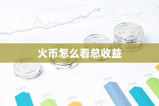 火币怎么看总收益-第1张图片-智财锋资讯网