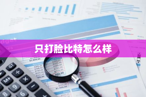 只打脸比特怎么样-第1张图片-智财锋资讯网