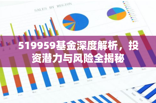 519959基金深度解析，投资潜力与风险全揭秘