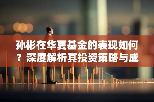 孙彬在华夏基金的表现如何？深度解析其投资策略与成果
