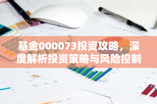 基金000073投资攻略，深度解析投资策略与风险控制