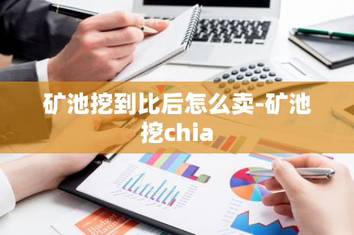 矿池挖到比后怎么卖-矿池挖chia