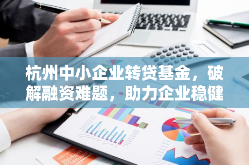杭州中小企业转贷基金，破解融资难题，助力企业稳健发展