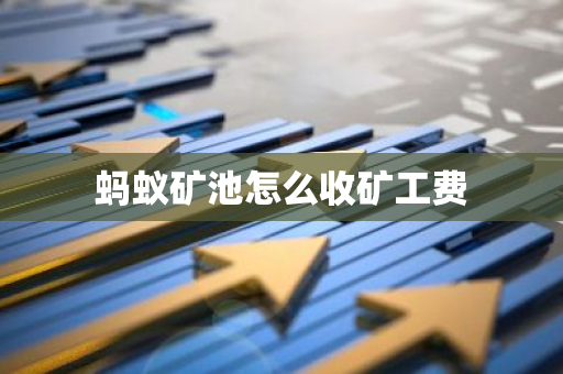 蚂蚁矿池怎么收矿工费