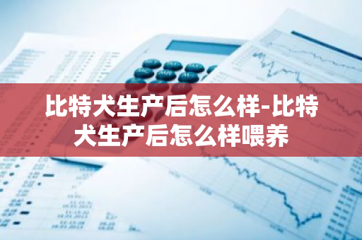 比特犬生产后怎么样-比特犬生产后怎么样喂养