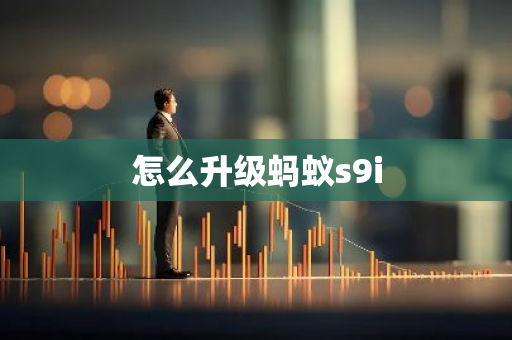 怎么升级蚂蚁s9i