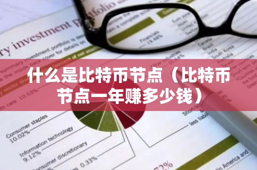 什么是比特币节点(比特币节点一年赚多少钱)-第1张图片-智财锋资讯网 什么是比特币节点(比特币节点一年赚多少钱)-第1张图片-智财锋资讯网