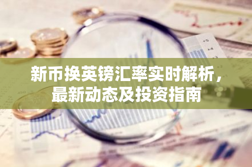 新币换英镑汇率实时解析，最新动态及投资指南