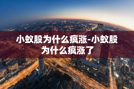 小蚁股为什么疯涨-小蚁股为什么疯涨了-第1张图片-智财锋资讯网 小蚁股为什么疯涨-小蚁股为什么疯涨了-第1张图片-智财锋资讯网