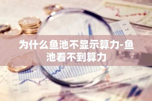 为什么鱼池不显示算力-鱼池看不到算力