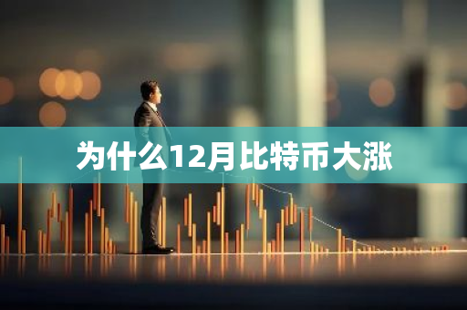 为什么12月比特币大涨