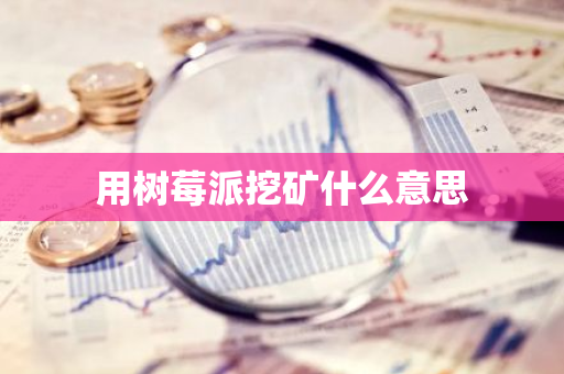 用树莓派挖矿什么意思