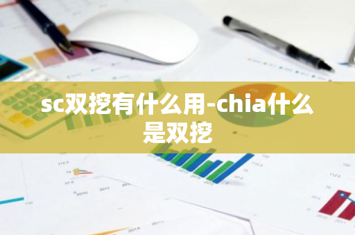 sc双挖有什么用-chia什么是双挖