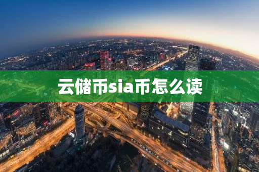 云储币sia币怎么读