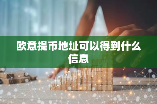 欧意提币地址可以得到什么信息
