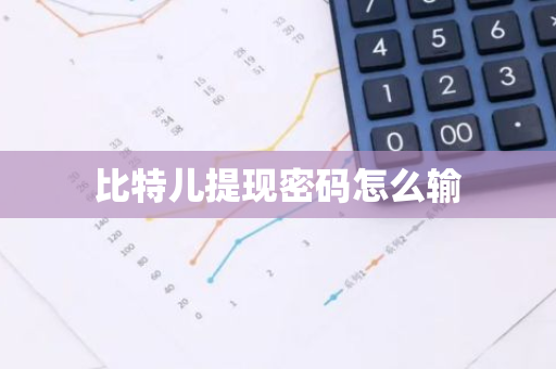 比特儿提现密码怎么输-第1张图片-智财锋资讯网 比特儿提现密码怎么输-第1张图片-智财锋资讯网
