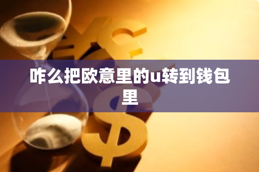 咋么把欧意里的u转到钱包里