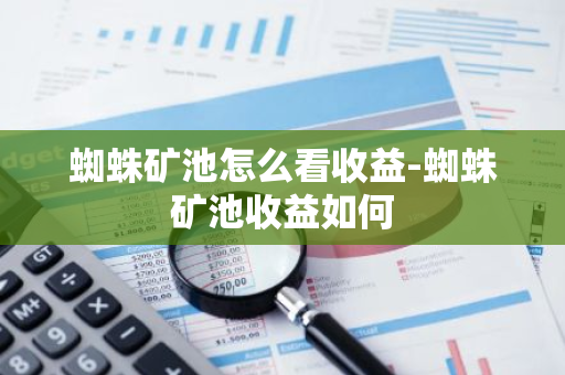 蜘蛛矿池怎么看收益-蜘蛛矿池收益如何