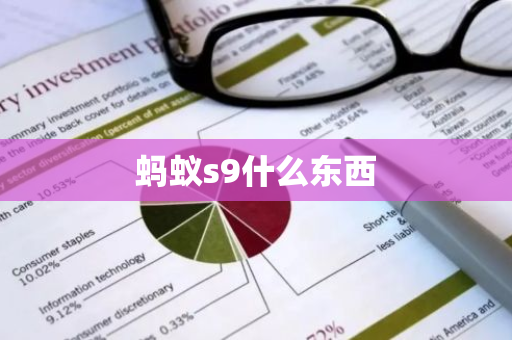 蚂蚁s9什么东西