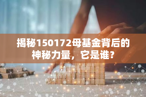 揭秘150172母基金背后的神秘力量，它是谁？