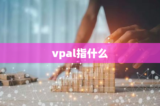 vpal指什么