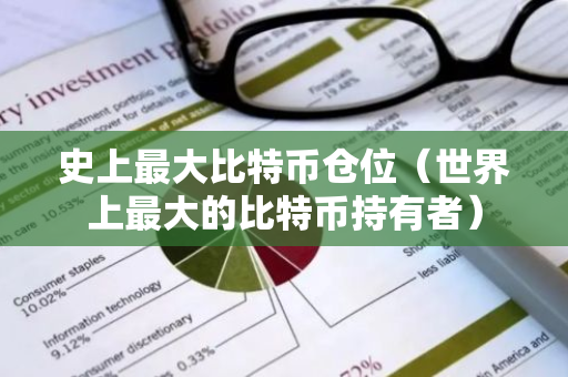 史上最大比特币仓位（世界上最大的比特币持有者）-第1张图片-智财锋资讯网