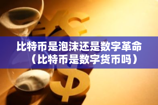 比特币是泡沫还是数字革命（比特币是数字货币吗）-第1张图片-智财锋资讯网