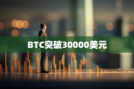 BTC突破30000美元-第1张图片-智财锋资讯网 BTC突破30000美元-第1张图片-智财锋资讯网