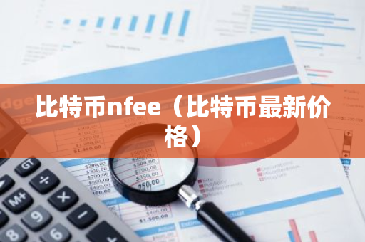 比特币nfee（比特币最新价格）-第1张图片-智财锋资讯网